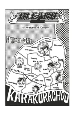Bleach - T05 - Chapitre 41 - Princess &amp; Dragon