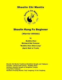 Shaolin Chi Mantis Shaolin Kung Fu Beginner (Warrior Athlete) - Shaolin Kung Fu, #2
