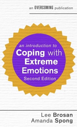 An Introduction to Coping with Extreme Emotions - A Guide to Borderline or Emotionally Unstable Personality Disorder