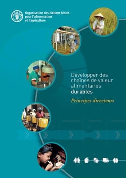 Développer des chaînes de valeur alimentaires durables : Principes directeurs