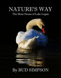 Nature's Way: The Mute Swans of Lake Logan, Ohio - Nature's Way