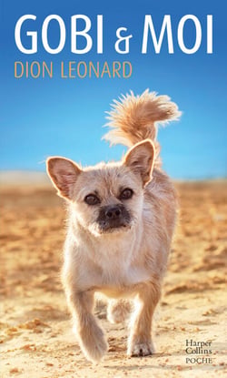 Gobi et moi - Un homme, un chien, un marathon : une formidable histoire vraie
