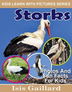 Storks Photos and Fun Facts for Kids - Kids Learn With Pictures, #95
