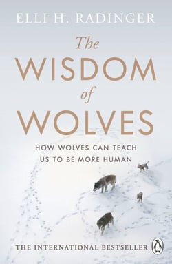 The Wisdom of Wolves - How Wolves Can Teach Us To Be More Human