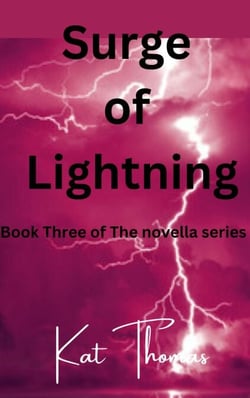 Surge of Lightning - Insanity Novella(Max POV), #3