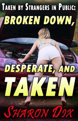 Broken Down, Desperate, and Taken - Wet, Desperate, and Taken by Strangers in Public