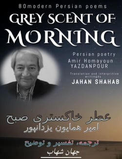 Grey scent of morning