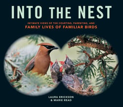 Into the Nest - Intimate Views of the Courting, Parenting, and Family Lives of Familiar Birds