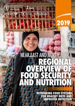 Regional Overview of Food Security and Nutrition in the near East and North Africa 2019 - Rethinking Food Systems for Healthy Diets and Improved Nutrition