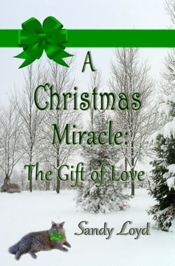 A Christmas Miracle: The Gift of Love - Christmas Miracle Series, #2
