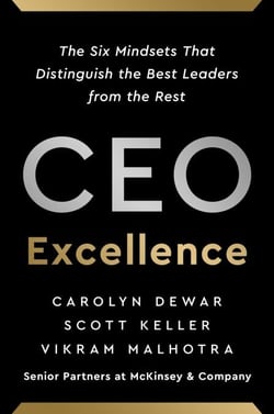 CEO Excellence - The Six Mindsets That Distinguish the Best Leaders from the Rest *NEW YORK TIMES BESTSELLER*