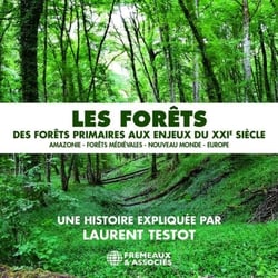 Les forêts - Des forêts primaires aux enjeux du XXIe siècle - Amazonie - Forêts médiévales - Nouveau Monde – Europe