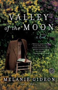 Valley of the Moon - A Novel