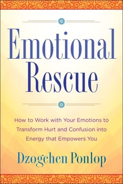 Emotional Rescue - How to Work with Your Emotions to Transform Hurt and Confusion into Energy That Empowers You