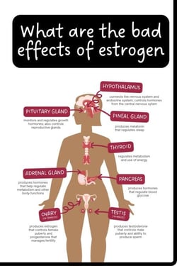 What are the Bad Effects of Estrogen