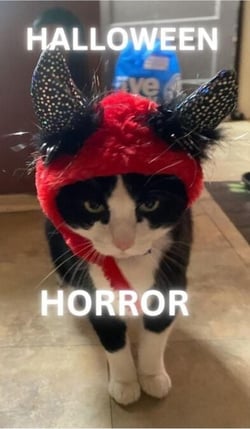 Halloween Horror - stories, #1
