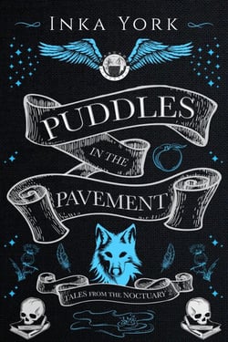 Puddles in the Pavement - Tales from the Noctuary, #2
