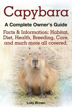 Capybara