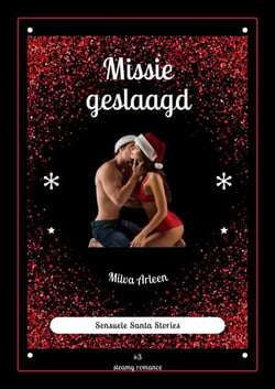 Missie geslaagd - Sensuele Santa Stories, #3
