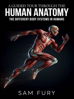 A Guided Tour Through the Human Anatomy - Functional Health Series