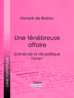 Une ténébreuse affaire - Scènes de la vie politique - Tome I