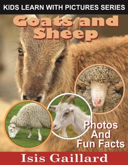 Goats and Sheep Photos and Fun Facts for Kids - Kids Learn With Pictures, #118