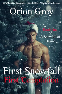First Snowfall, First Temptation (A Snowfall of Desire, Book One) - A Snowfall of Desire, #1