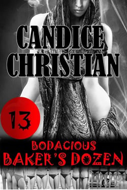 Bodacious Baker's Dozen