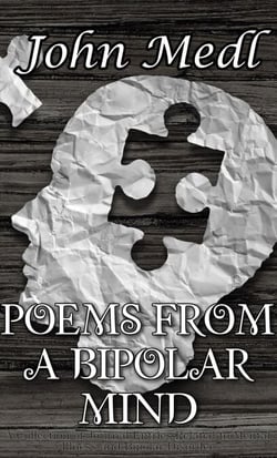 Poems from a Bipolar Mind: A Collection of Journal Entries Related to Mental Illness and Bipolar Disorder - Workings of a Bipolar Mind, #2