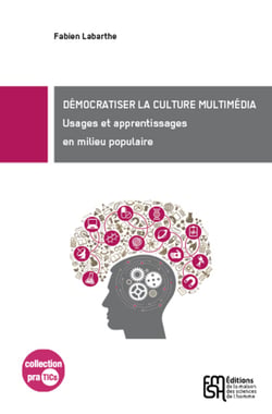 Démocratiser la culture multimédia ? - Usages et apprentissages en milieu populaire