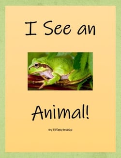I See an Animal - I See