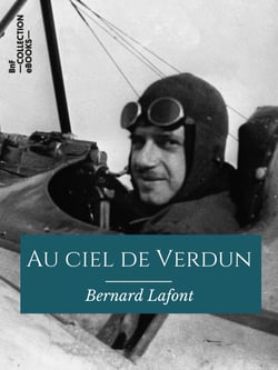 Au ciel de Verdun - Notes d'un aviateur