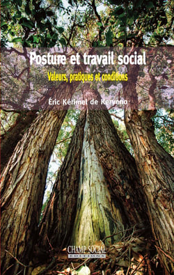 Posture et travail social - Valeurs, pratiques et conditions