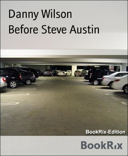Before Steve Austin