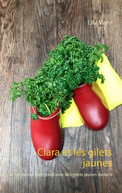Clara et les gilets jaunes - le premier roman feel-good avec des gilets jaunes dedans
