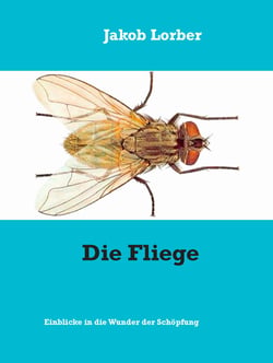 Die Fliege - Einblicke in die Wunder der Schöpfung