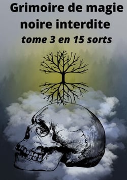 Grimoire de magie noire interdite - tome 3 en 15 sorts