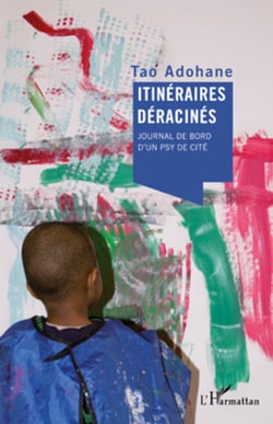 Itinéraires déracinés - Journal de bord d'un psy de cité