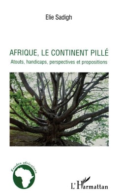 Afrique, le continent pillé - Atouts, handicaps, perspectives et propositions