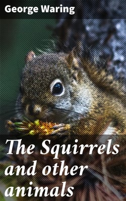 The Squirrels and other animals - Or, Illustrations of the habits and instincts of many of the smaller British quadrupeds