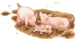 Puzzle 40 Pièces - A la Ferme - Ravensburger