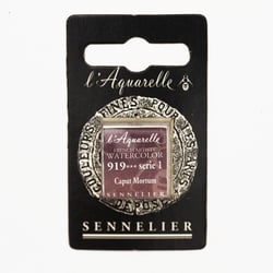 Peinture Aquarelle miel 1/2g - caput mortum