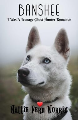 Banshee - I Was A Teenage Ghost Hunter Romance, #1