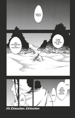 Bleach - T43 - Chapitre 375 - EXecution, EXtinction