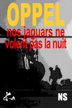 Nos jaguars ne volent pas la nuit - série De mes nouvelles # 5