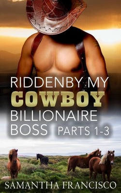 Ridden By My Cowboy Billionaire Boss, Parts 1-3 - Gay BDSM Love Stories, #3
