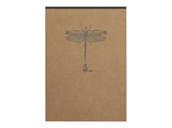 1 carnet Clairefontaine - Flying Spirit Kraft - A5 14.8 x 21 cm - Modèles aléatoires - 140 pages lignées - Vendu à l'unité
