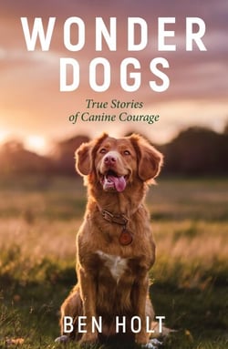 Wonder Dogs - Inspirational True Stories of Real-Life Dog Heroes That Will Melt Your Heart
