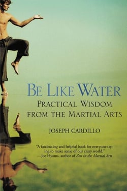 Be Like Water - Practical Wisdom from the Martial Arts