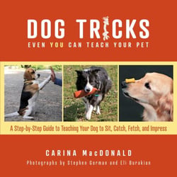 Dog Tricks Even You Can Teach Your Pet - A Step-by-Step Guide to Teaching Your Pet to Sit, Catch, Fetch, and Impress